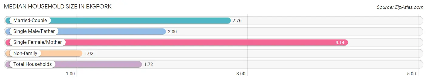 Median Household Size in Bigfork