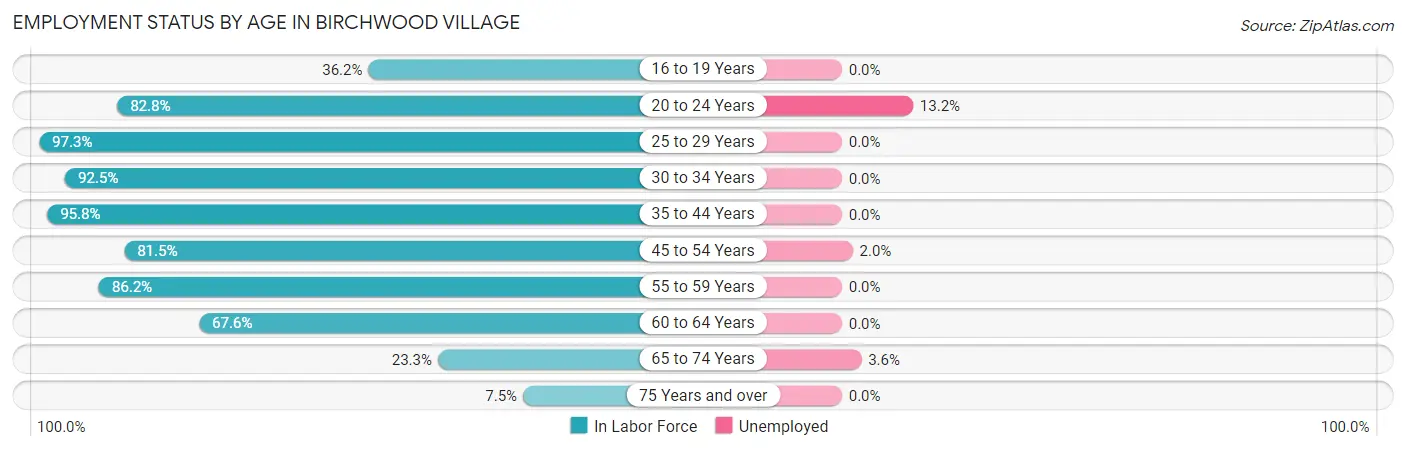 Employment Status by Age in Birchwood Village