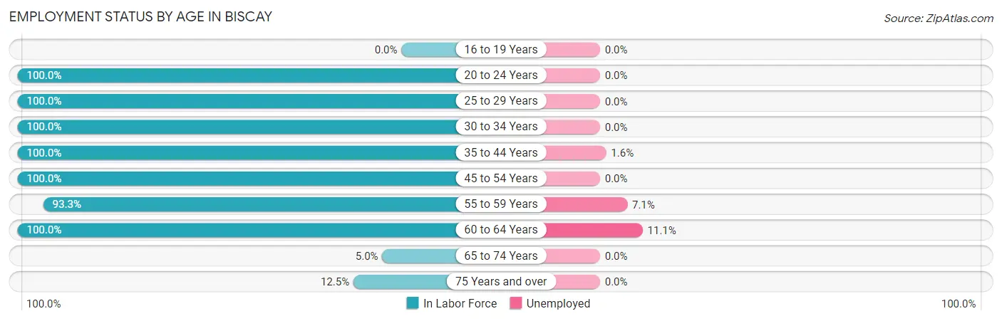 Employment Status by Age in Biscay