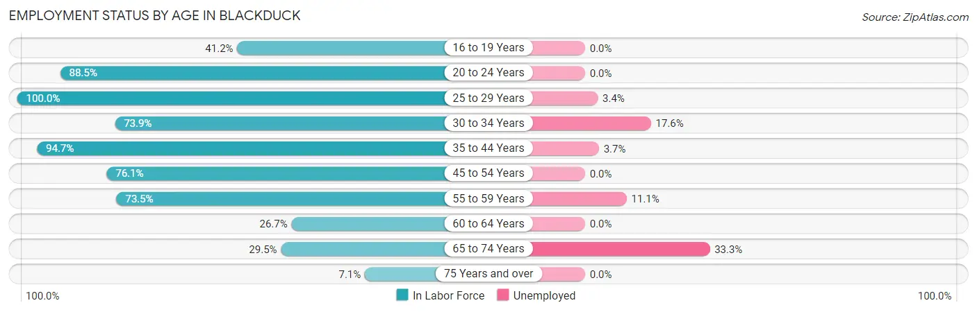 Employment Status by Age in Blackduck