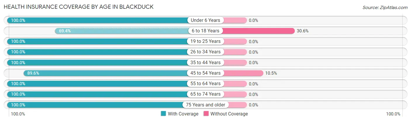 Health Insurance Coverage by Age in Blackduck