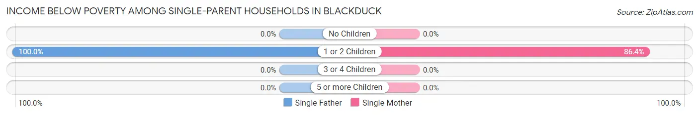 Income Below Poverty Among Single-Parent Households in Blackduck