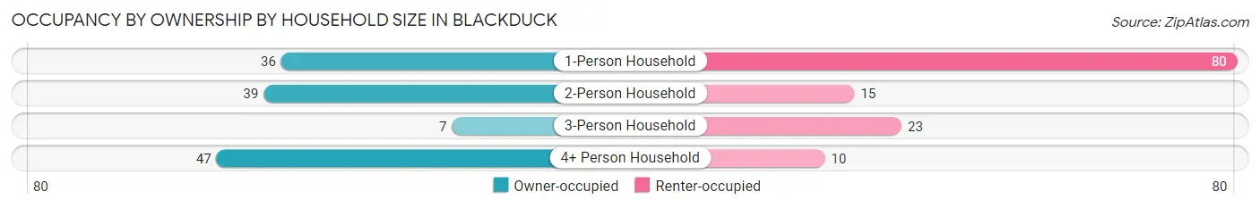 Occupancy by Ownership by Household Size in Blackduck