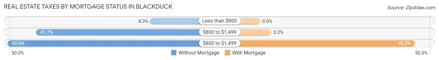 Real Estate Taxes by Mortgage Status in Blackduck