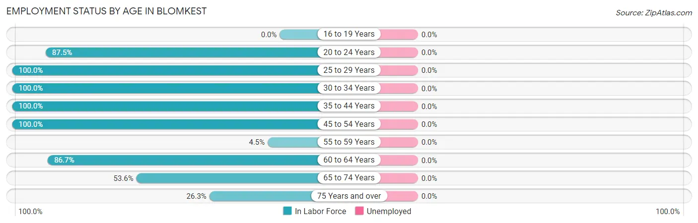 Employment Status by Age in Blomkest