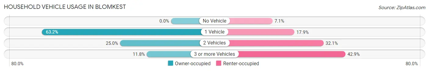 Household Vehicle Usage in Blomkest