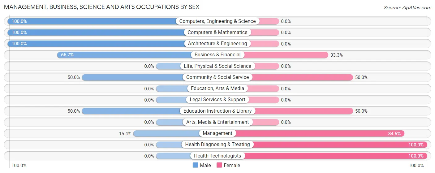 Management, Business, Science and Arts Occupations by Sex in Blomkest