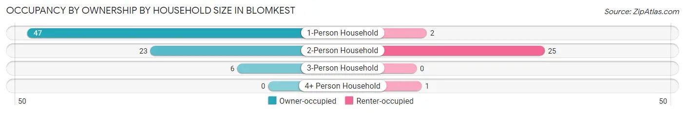 Occupancy by Ownership by Household Size in Blomkest