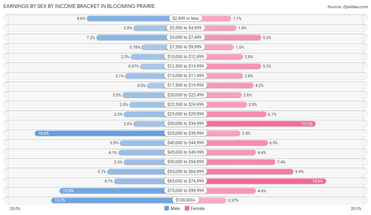 Earnings by Sex by Income Bracket in Blooming Prairie