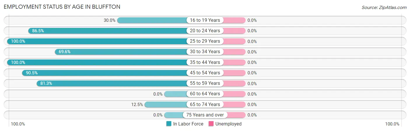 Employment Status by Age in Bluffton