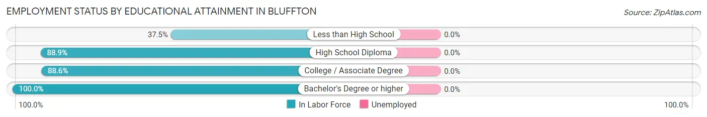 Employment Status by Educational Attainment in Bluffton