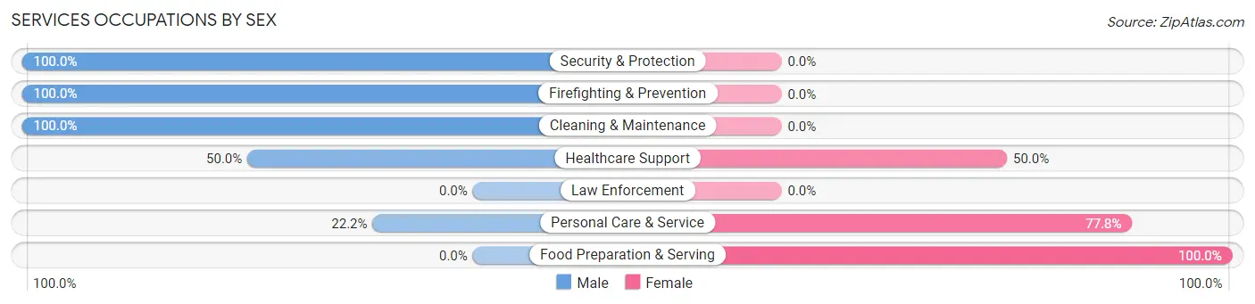 Services Occupations by Sex in Bluffton