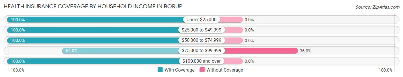 Health Insurance Coverage by Household Income in Borup