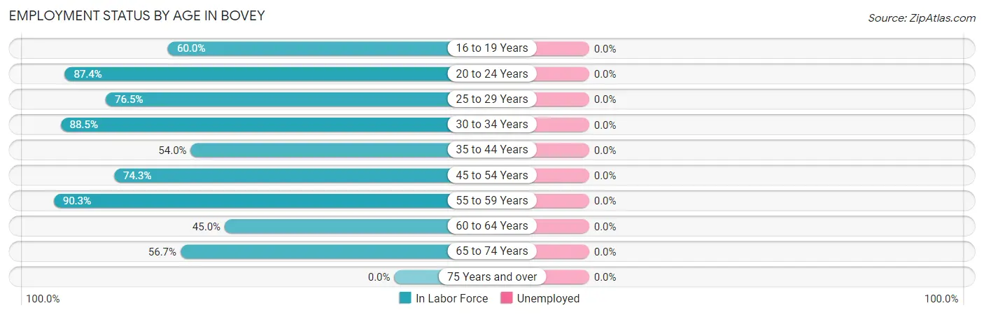Employment Status by Age in Bovey