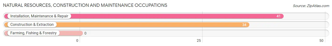 Natural Resources, Construction and Maintenance Occupations in Breezy Point