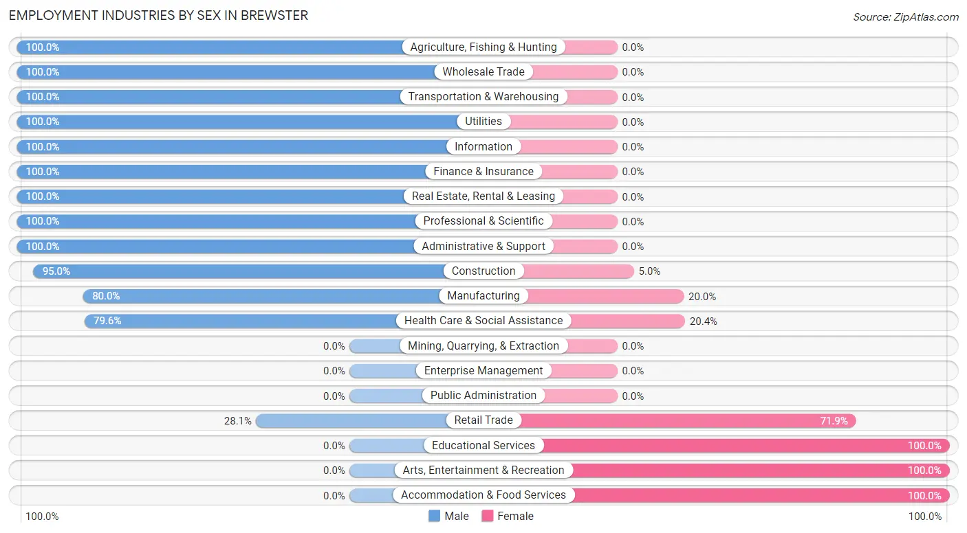 Employment Industries by Sex in Brewster