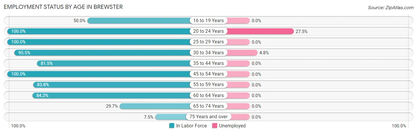 Employment Status by Age in Brewster