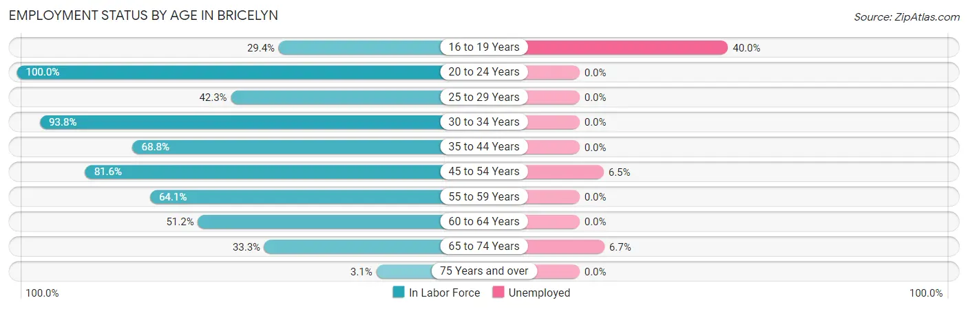 Employment Status by Age in Bricelyn