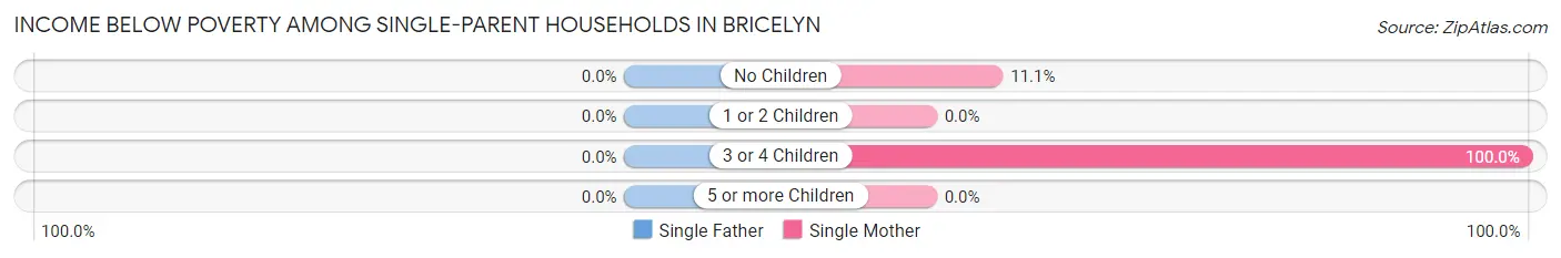 Income Below Poverty Among Single-Parent Households in Bricelyn