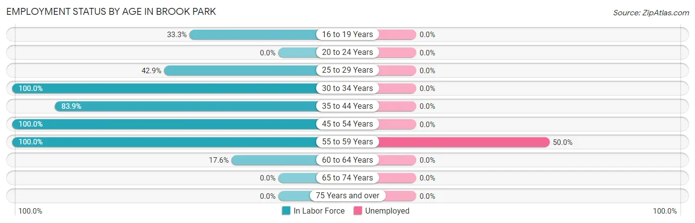 Employment Status by Age in Brook Park