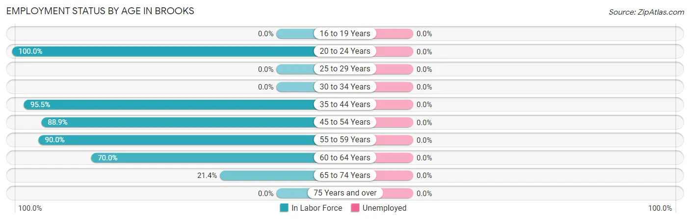 Employment Status by Age in Brooks