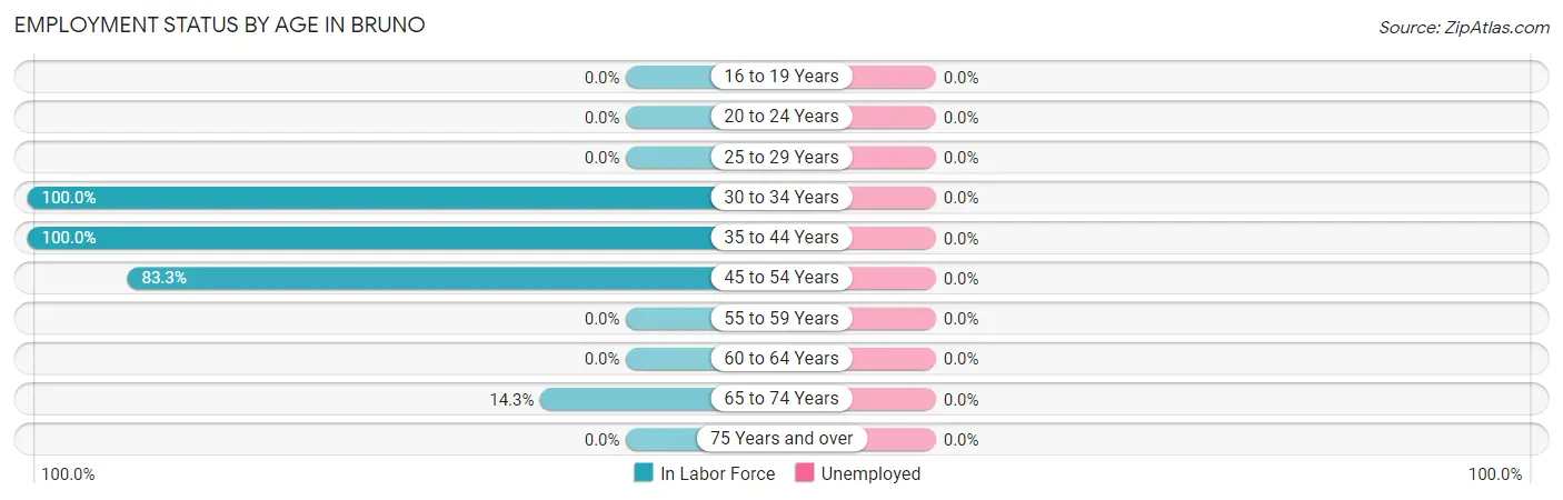 Employment Status by Age in Bruno