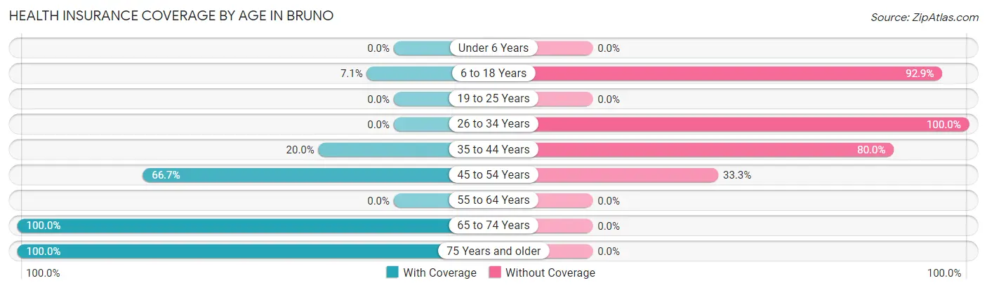 Health Insurance Coverage by Age in Bruno