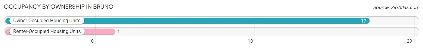 Occupancy by Ownership in Bruno