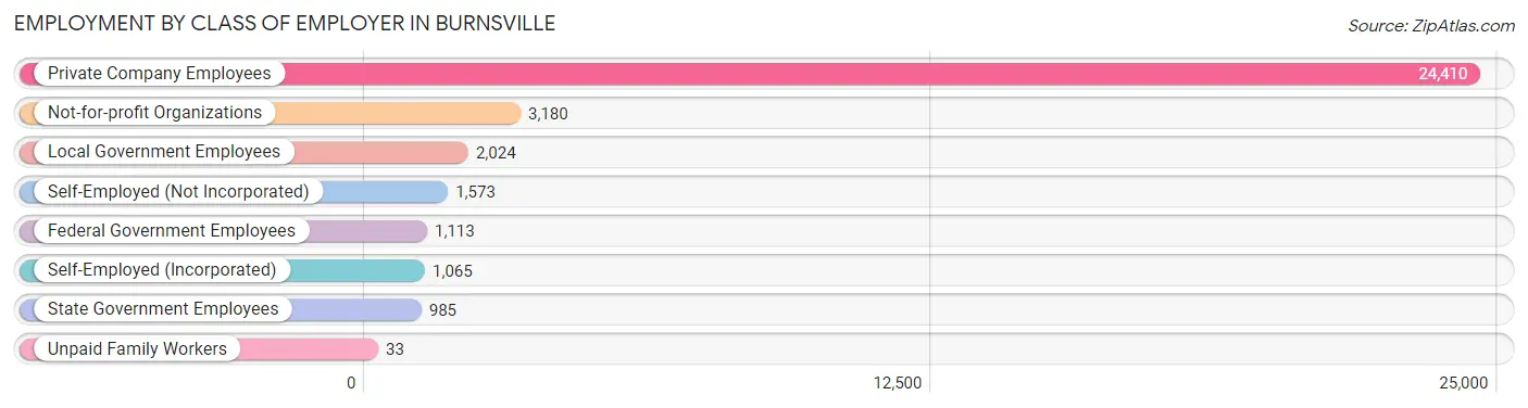 Employment by Class of Employer in Burnsville