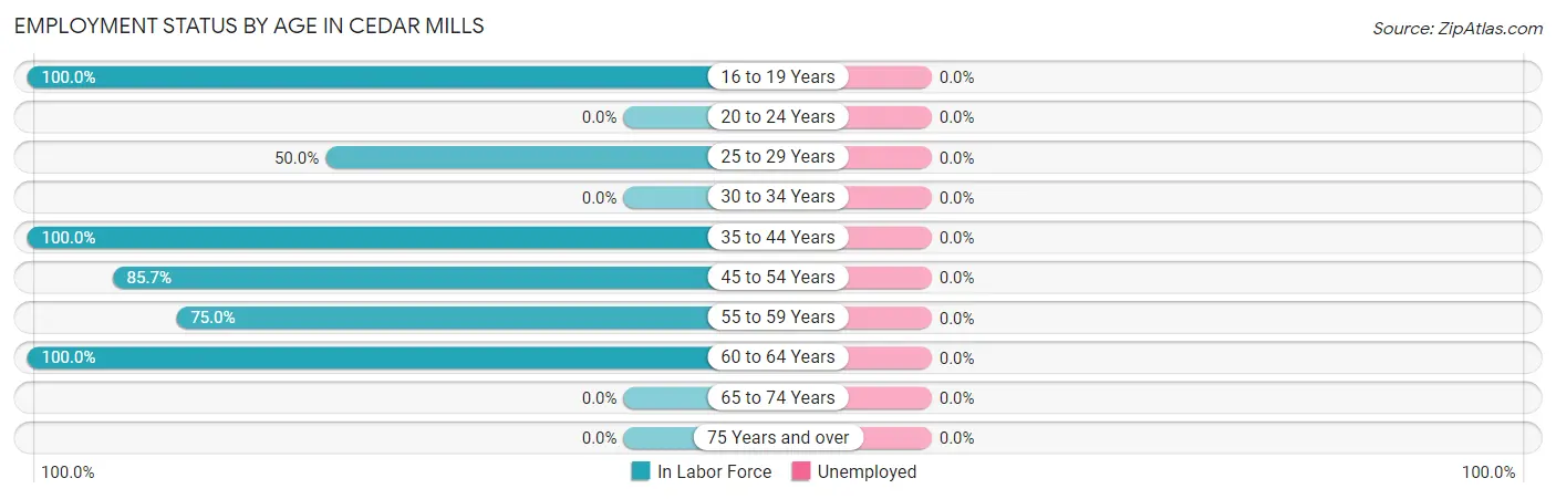Employment Status by Age in Cedar Mills