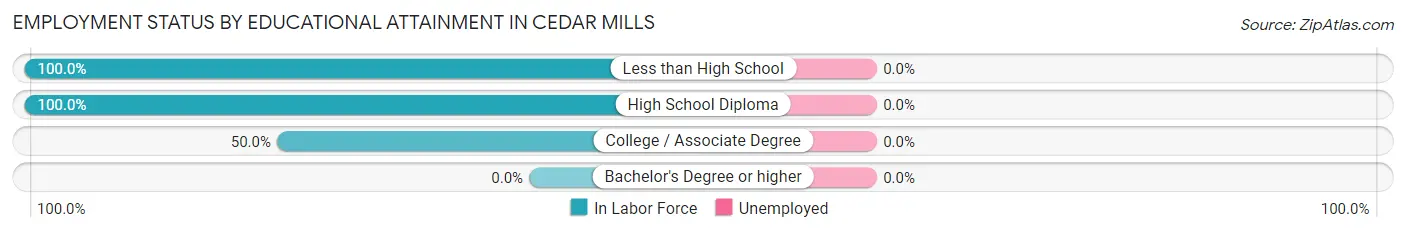 Employment Status by Educational Attainment in Cedar Mills