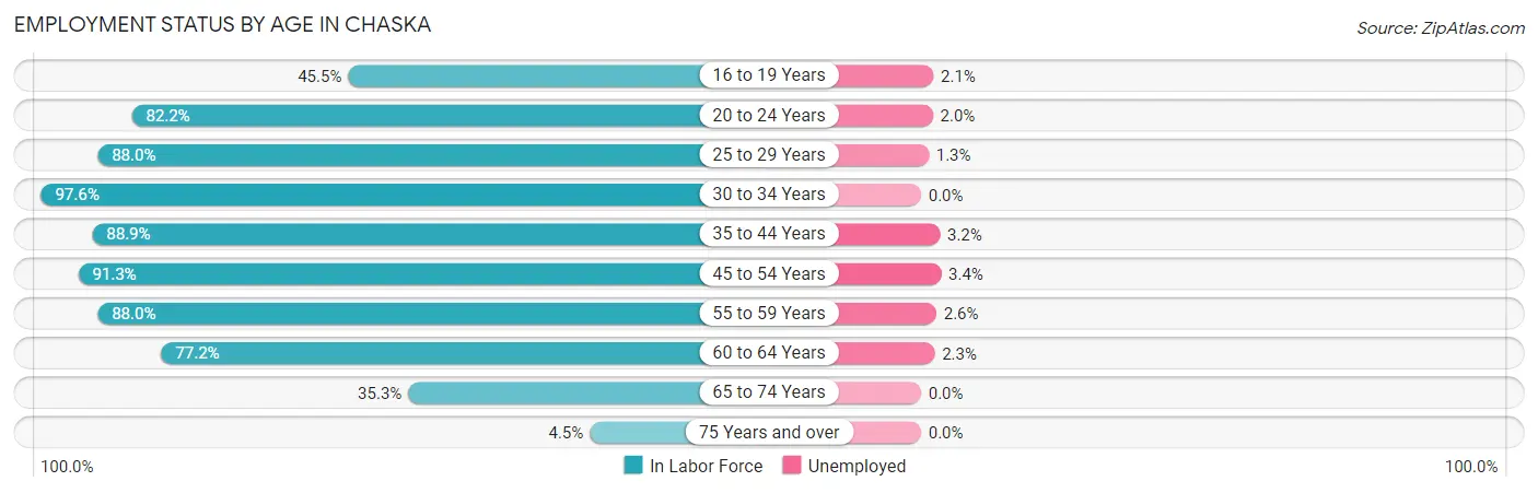 Employment Status by Age in Chaska