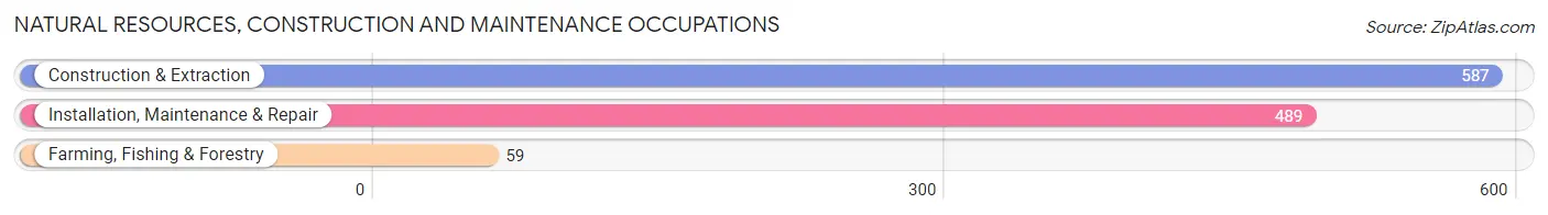 Natural Resources, Construction and Maintenance Occupations in Chaska