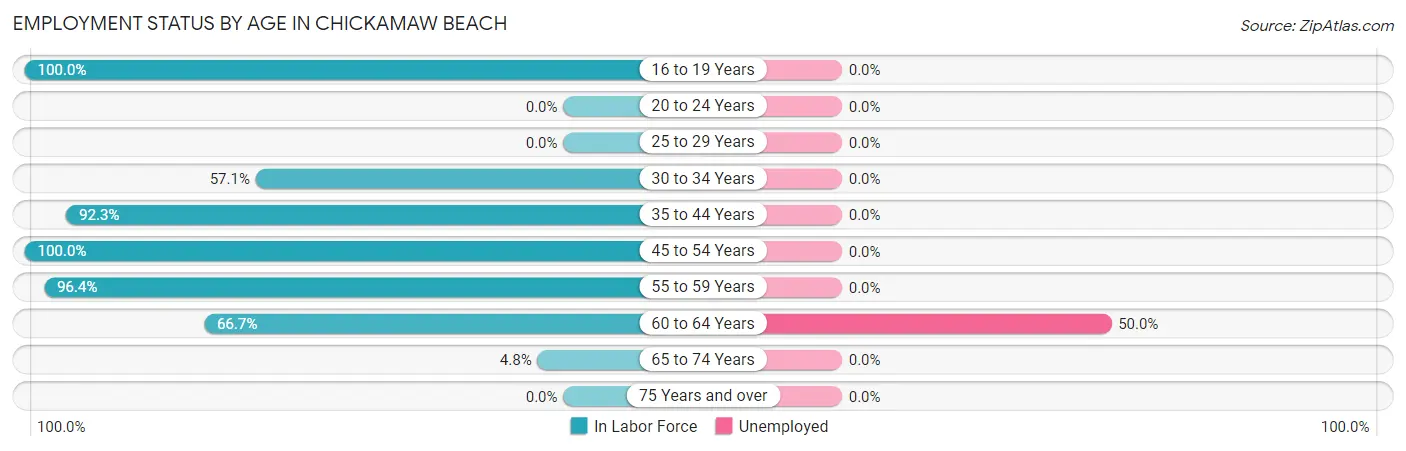 Employment Status by Age in Chickamaw Beach