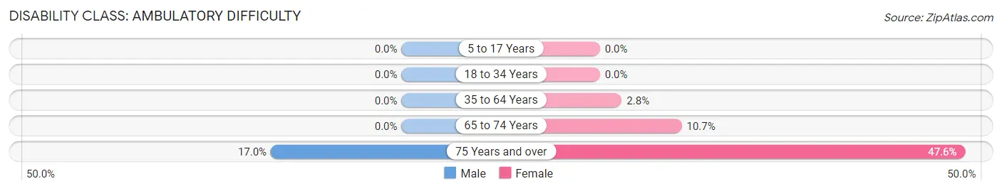 Disability in Chisago City: <span>Ambulatory Difficulty</span>