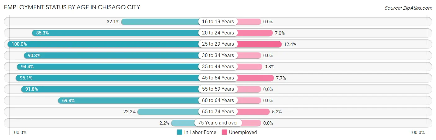 Employment Status by Age in Chisago City