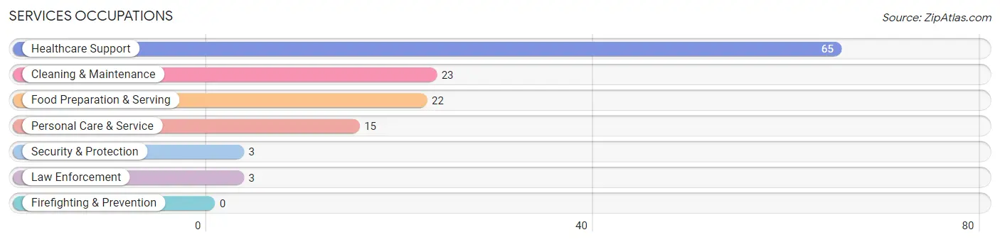 Services Occupations in Clarkfield