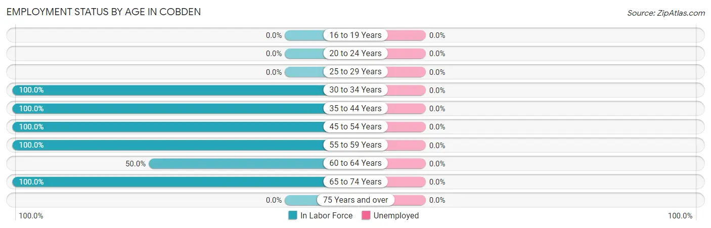 Employment Status by Age in Cobden