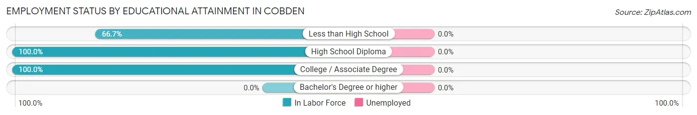 Employment Status by Educational Attainment in Cobden
