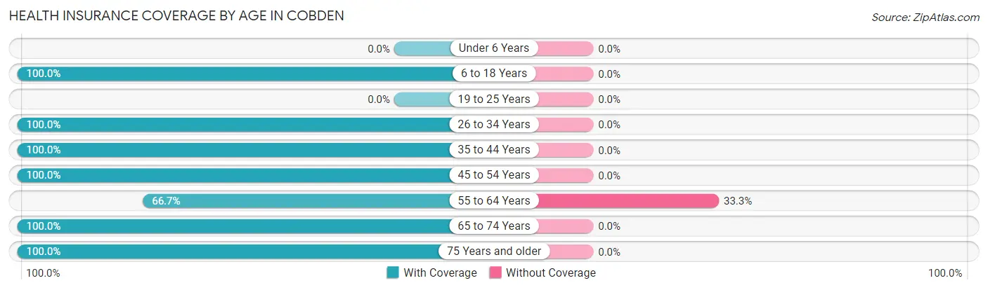 Health Insurance Coverage by Age in Cobden