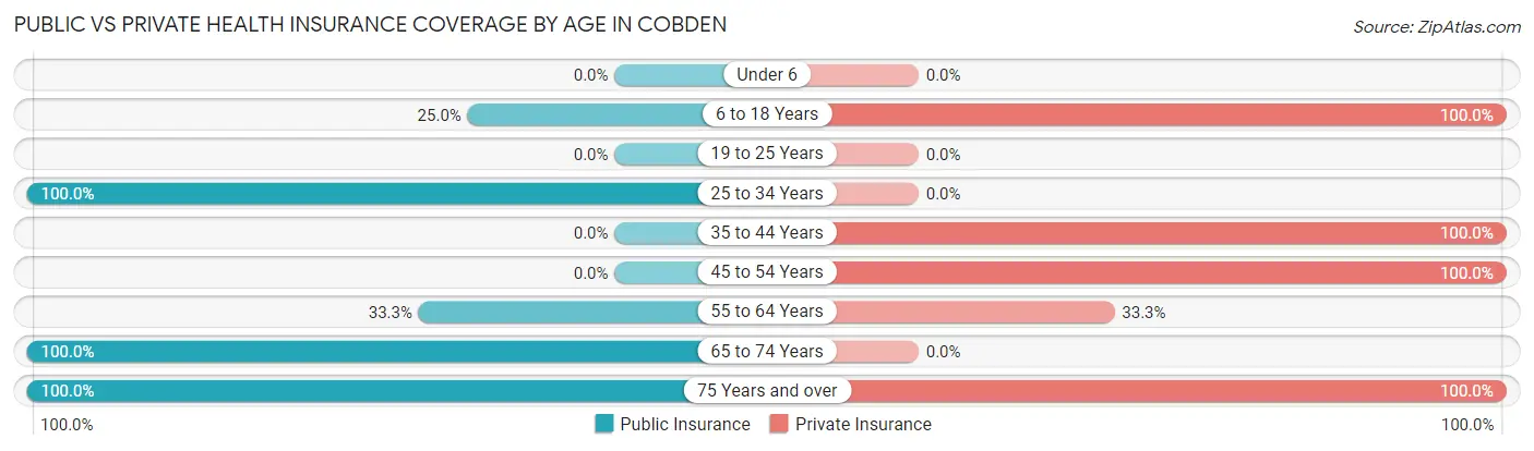 Public vs Private Health Insurance Coverage by Age in Cobden