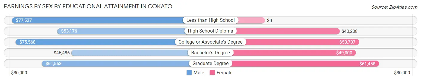 Earnings by Sex by Educational Attainment in Cokato