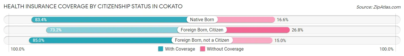 Health Insurance Coverage by Citizenship Status in Cokato