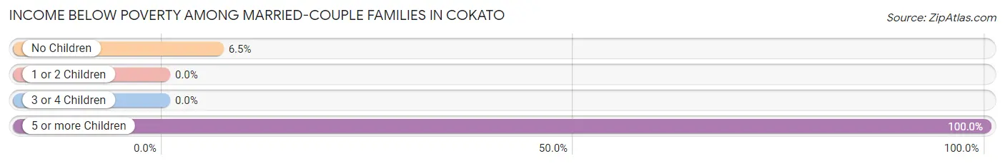 Income Below Poverty Among Married-Couple Families in Cokato