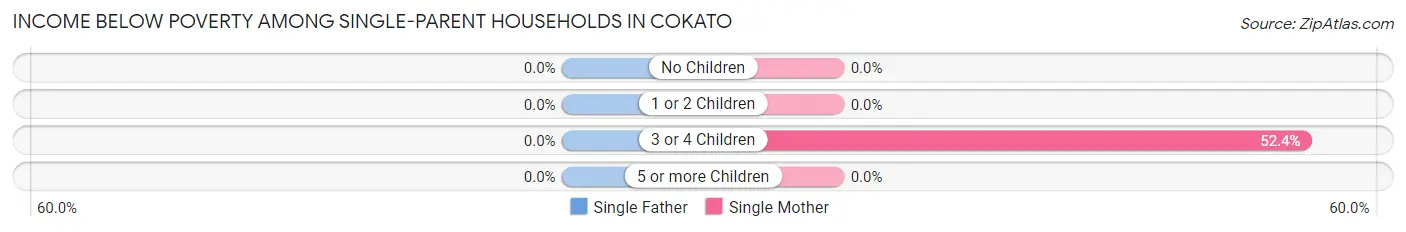 Income Below Poverty Among Single-Parent Households in Cokato