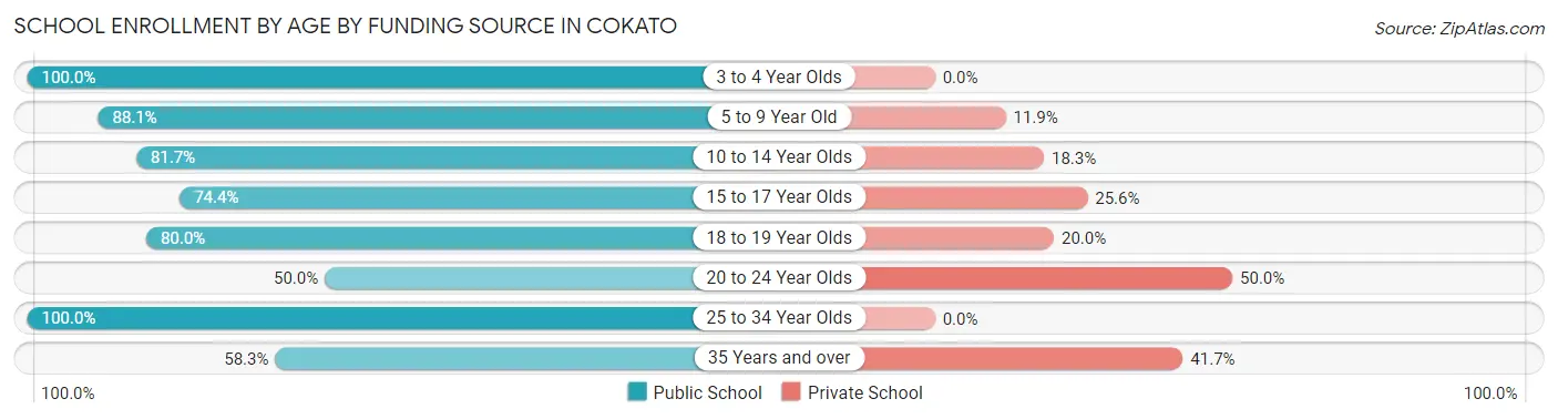 School Enrollment by Age by Funding Source in Cokato