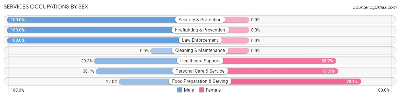 Services Occupations by Sex in Cokato