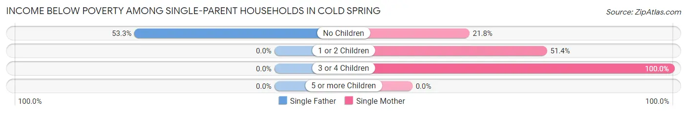 Income Below Poverty Among Single-Parent Households in Cold Spring