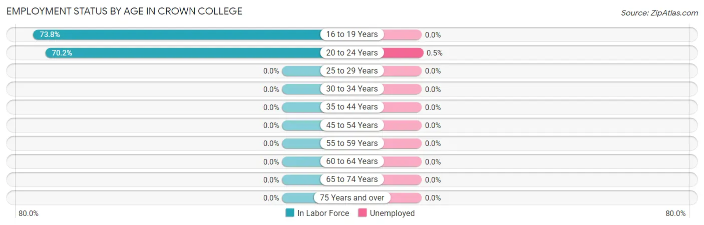 Employment Status by Age in Crown College