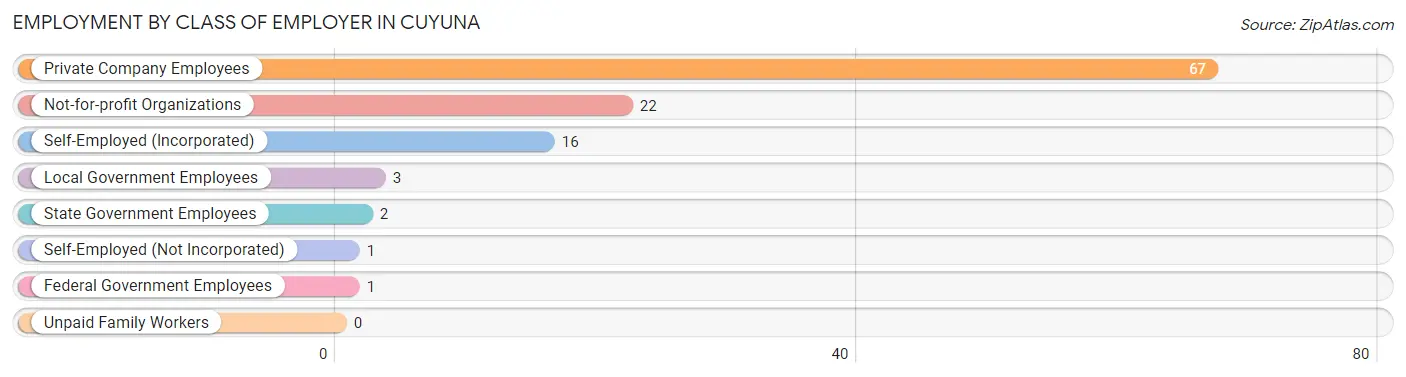 Employment by Class of Employer in Cuyuna